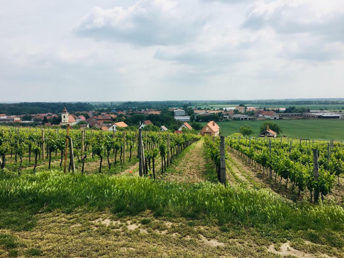 Ubytovani U lišáka FOXE Vila Bulhary Exterior foto