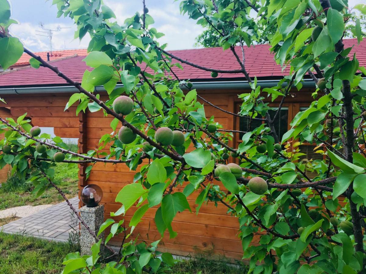 Ubytovani U lišáka FOXE Vila Bulhary Exterior foto